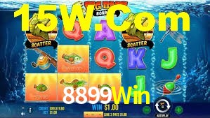 8899Win